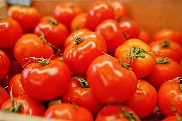 Cách Chọn Cà Chua Tươi Ngon