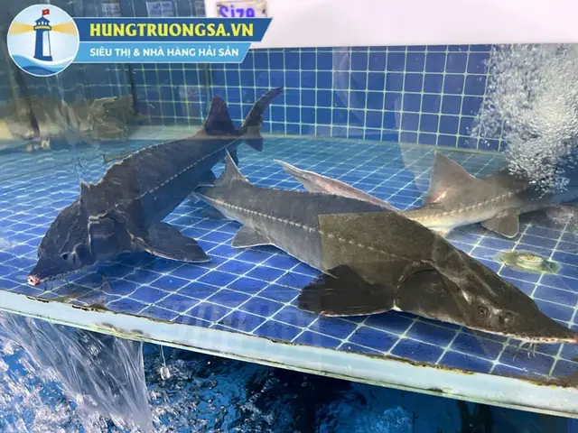 Hoàn Thiện Món Canh Hoàn Thiện Món Canh