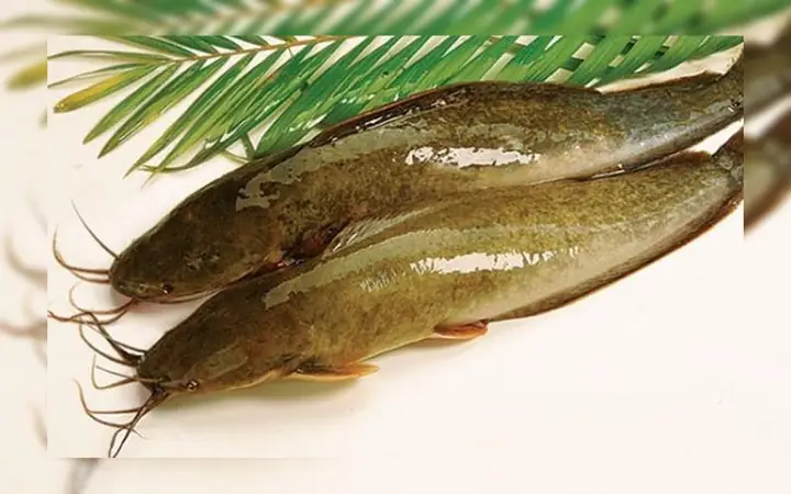 Bước 2: Sơ Chế Nguyên Liệu