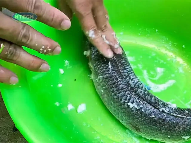 2.1. Cách sơ chế cá lóc