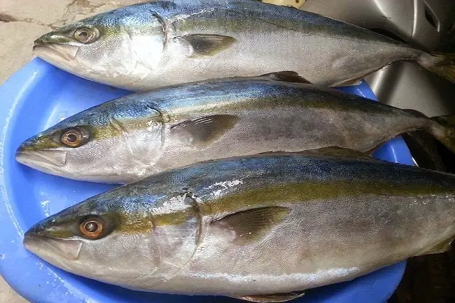 3 cÃ¡ch náº¥u canh chua me phá» biáº¿n ÄÆ°á»£c nhiá»u ngÆ°á»i Ã¡p dá»¥ng nháº¥t