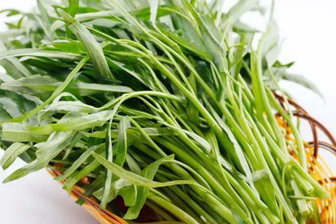 3 cÃ¡ch náº¥u canh chua me phá» biáº¿n ÄÆ°á»£c nhiá»u ngÆ°á»i Ã¡p dá»¥ng nháº¥t