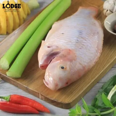 Lựa Chọn Cá Tươi