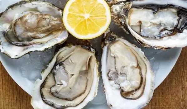 Địa chỉ mua hàu sữa tươi ngon, chất lượng