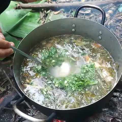 Cách nấu lẩu lươn lá giang thơm ngon, bắt vị cực hấp dẫn Cách nấu lẩu lươn lá giang thơm ngon, bắt vị cực hấp dẫn