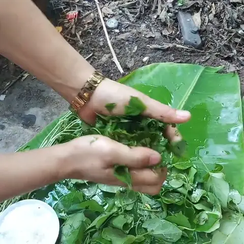 Cách nấu lẩu lươn lá giang thơm ngon, bắt vị cực hấp dẫn Cách nấu lẩu lươn lá giang thơm ngon, bắt vị cực hấp dẫn