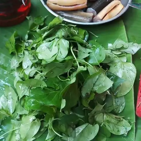 Cách nấu lẩu lươn lá giang thơm ngon, bắt vị cực hấp dẫn Cách nấu lẩu lươn lá giang thơm ngon, bắt vị cực hấp dẫn