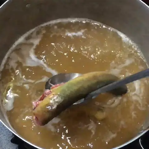 Video đang HOT Video đang HOT