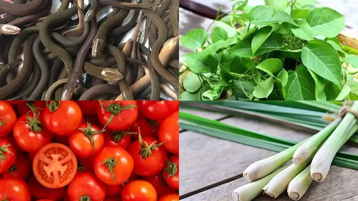 Cách nấu lẩu lươn lá giang thơm ngon, bắt vị cực hấp dẫn Cách nấu lẩu lươn lá giang thơm ngon, bắt vị cực hấp dẫn