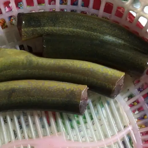 Video đang HOT Video đang HOT