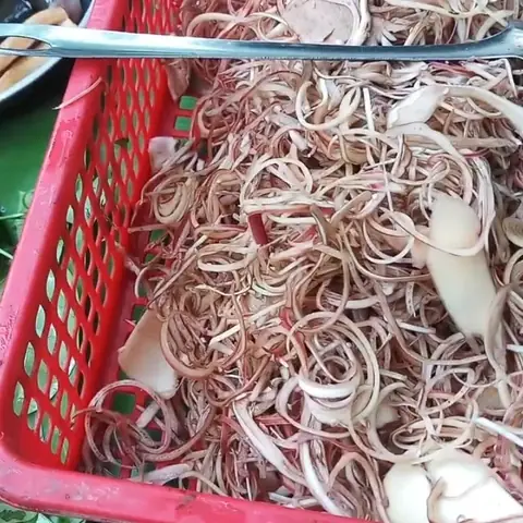 Cách nấu lẩu lươn lá giang thơm ngon, bắt vị cực hấp dẫn Cách nấu lẩu lươn lá giang thơm ngon, bắt vị cực hấp dẫn