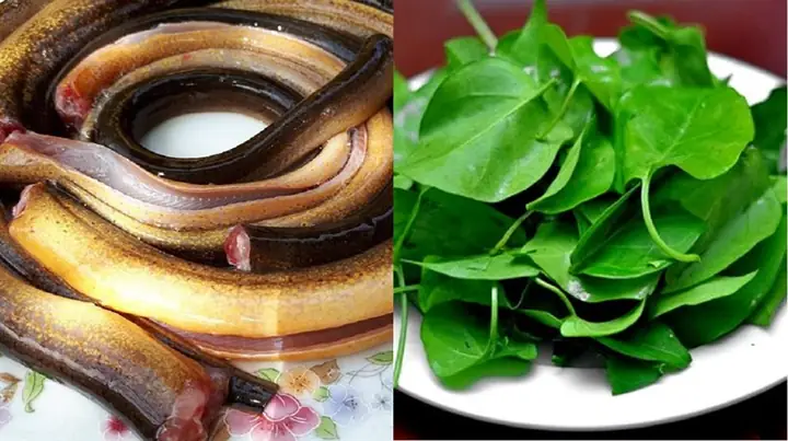 2 Cách nấu canh chua lươn lá giang và bắp chuối đậm chất Nam Bộ thơm ngon 2 Cách nấu canh chua lươn lá giang và bắp chuối đậm chất Nam Bộ thơm ngon