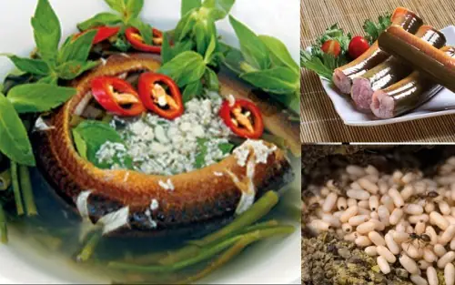 Các Món Ăn Từ Lươn Đã Trở Nên Khá Quen Thuộc Với Những Người Con Của Vùng Nam Bộ, Tuy Nhiên Canh Chua Lươn Nấu Trứng Kiến Còn Lạ Lẫm Với Nhiều Người. Các Món Ăn Từ Lươn Đã Trở Nên Khá Quen Thuộc Với Những Người Con Của Vùng Nam Bộ, Tuy Nhiên Canh Chua Lươn Nấu Trứng Kiến Còn Lạ Lẫm Với Nhiều Người.