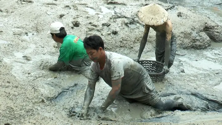 Tình mẹ trong bữa cơm gia đình