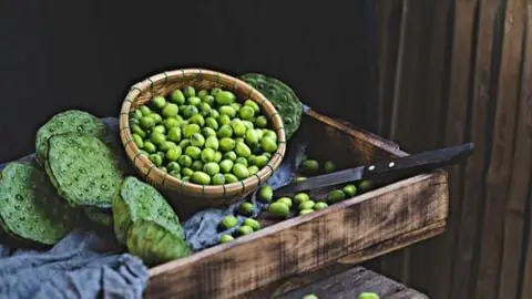 Ecolotus Long Strap Woven Mat Bag