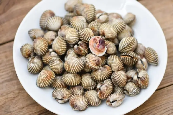 1sò Huyết Có Thành Phần Dinh Dưỡng Gì?