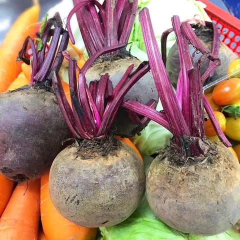 TÁC DỤNG CỦA CỦ DỀN