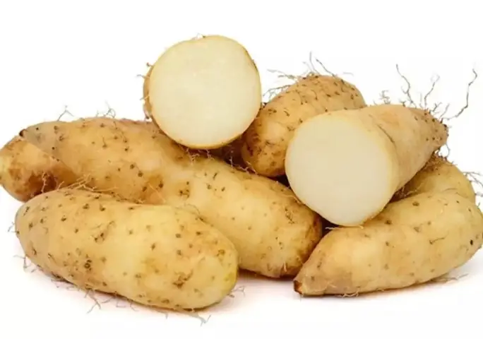 Tác Dụng Của Củ Từ