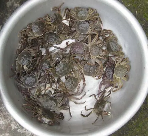 cách nấu canh cua đá