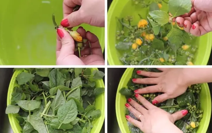 Bước 1sơ Chế Nguyên Liệu