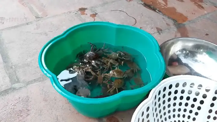 2Mẹo làm sạch cua 2Mẹo làm sạch cua