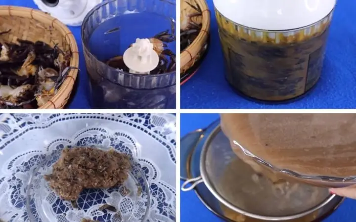 Bước 1sơ Chế Nguyên Liệu