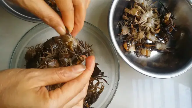 Canh cua dân dã, quen thuộc nhưng nấu làm sao để gạch cua đóng thành tảng, mịn bông không lợn cợn cặn cua thì không phải ai cũng làm được. Canh cua dân dã, quen thuộc nhưng nấu làm sao để gạch cua đóng thành tảng, mịn bông không lợn cợn cặn cua thì không phải ai cũng làm được.