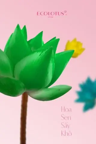 Ecolotus Bảo Vệ Đề Cương Chi Tiết Nhiệm Vụ Nghiên Cứu Khoa Học Cấp Tỉnh