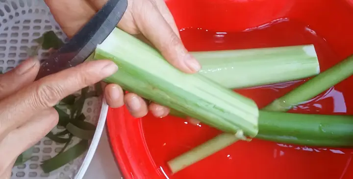 Sơ chế nguyên liệu