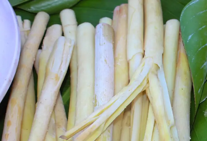 Đọt mây và lá bép – Đặc sản núi rừng làm vấn vương du khách