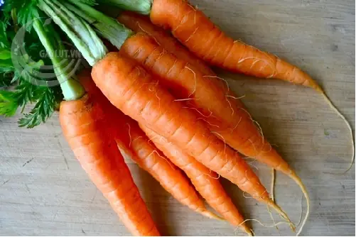 Củ Cải Đỏ (cà Rốt) :