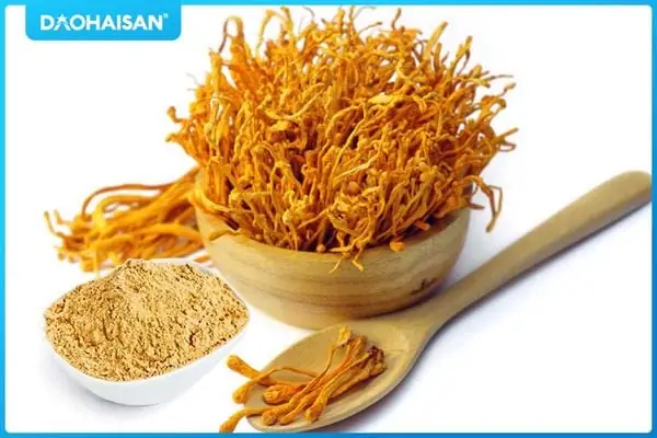 Hoa trùng thảo là gì?