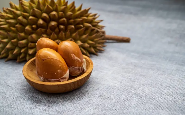 Giá trị dinh dưỡng của hạt sầu riêng