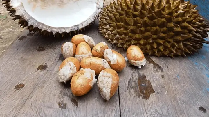 Cách sơ chế hạt sầu riêng trước khi chế biến