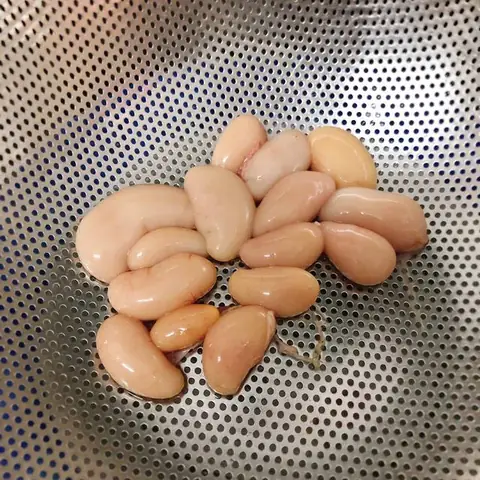 Hướng Dẫn Cách Làm: Hướng Dẫn Cách Làm: