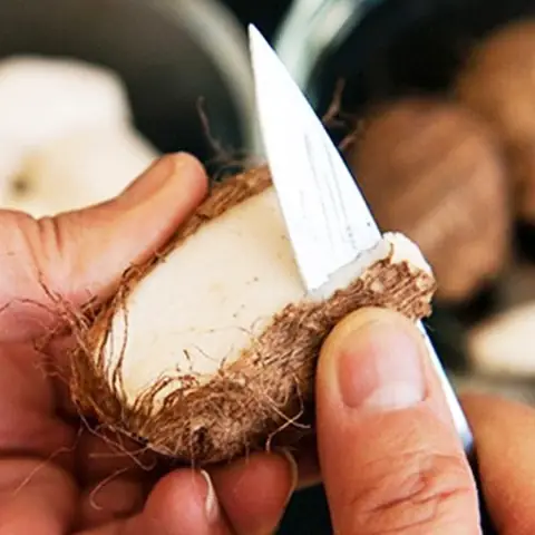 Sơ chế nguyên liệu