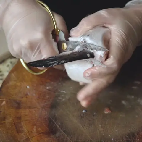 Sơ chế đầu cá hồi Sơ chế đầu cá hồi