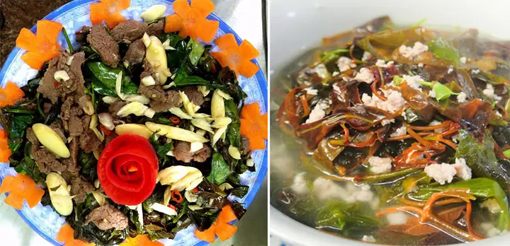 Đọt mây và lá bép – Đặc sản núi rừng làm vấn vương du khách