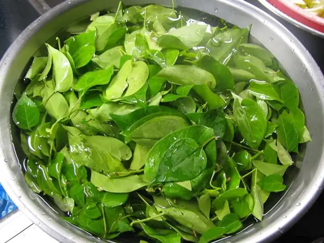 Cách nấu canh chua cá rô đồng với lá giang