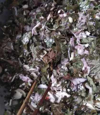 Cách Nấu Canh Lá Nhíp Chuẩn Vị Núi Rừng Tây Nguyên Cách Nấu Canh Lá Nhíp Chuẩn Vị Núi Rừng Tây Nguyên