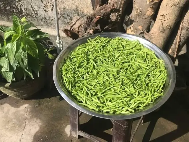 Canh lưỡi rồng - Món ngon vùng cát Phú Yên