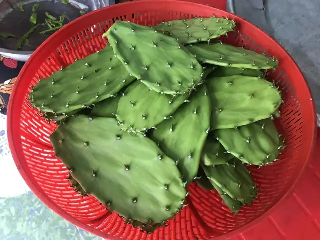 Canh lưỡi rồng - Món ngon vùng cát Phú Yên