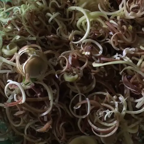 Video đang HOT Video đang HOT