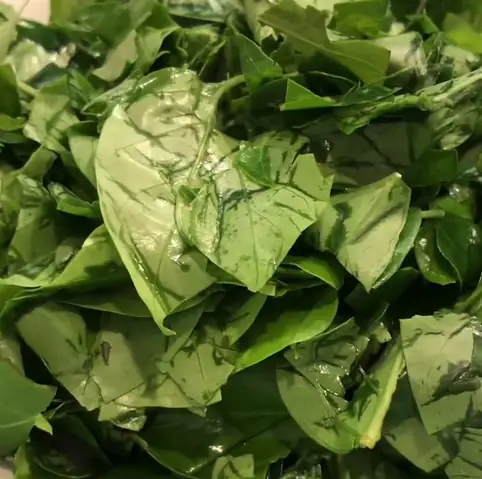 2 Cách nấu canh chua lươn lá giang và bắp chuối đậm chất Nam Bộ thơm ngon 2 Cách nấu canh chua lươn lá giang và bắp chuối đậm chất Nam Bộ thơm ngon