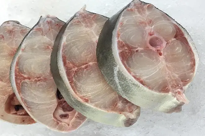 Cách Nấu Canh Chua Cá Bớp Và Cách Phân Biệt Cá Bớp Biển Cực Dễ Dàng Cách Nấu Canh Chua Cá Bớp Và Cách Phân Biệt Cá Bớp Biển Cực Dễ Dàng