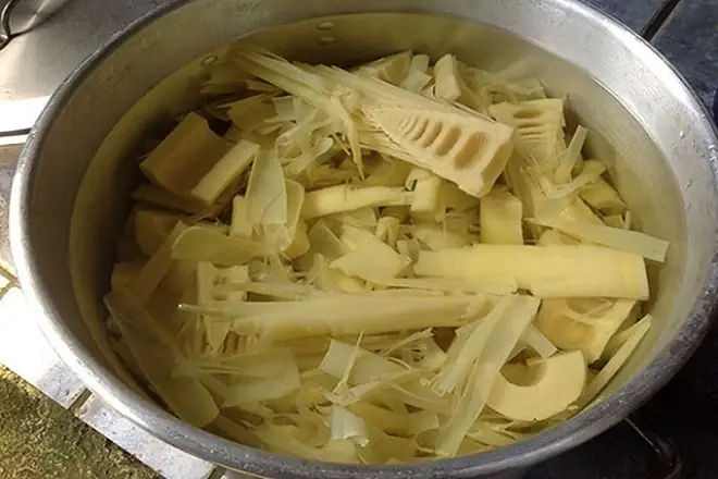 Cách Nấu Canh Chua Cá Bớp Và Cách Phân Biệt Cá Bớp Biển Cực Dễ Dàng Cách Nấu Canh Chua Cá Bớp Và Cách Phân Biệt Cá Bớp Biển Cực Dễ Dàng