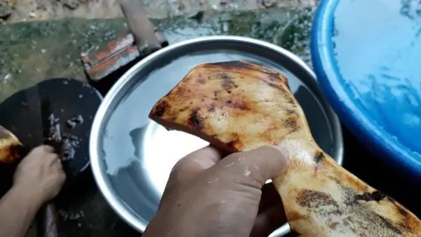 Sơ chế da trâu khô