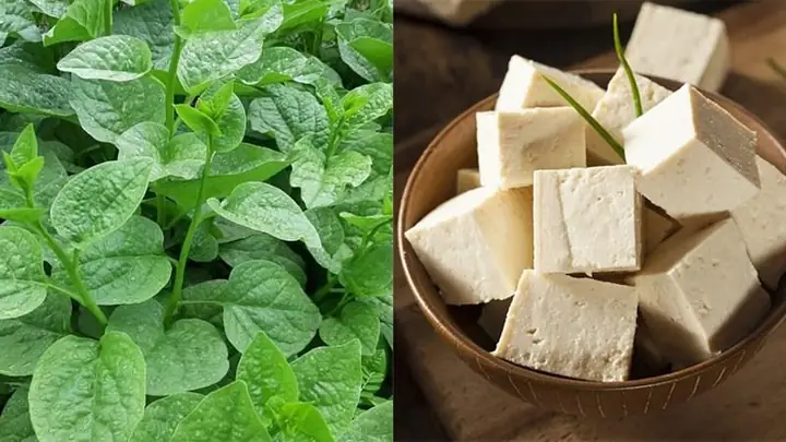 Nguyên Liệu Cần Chuẩn Bị