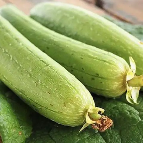 Thành Phần Dinh Dưỡng Của Quả Mướp