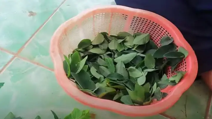 2.2. Hướng dẫn thực hiện